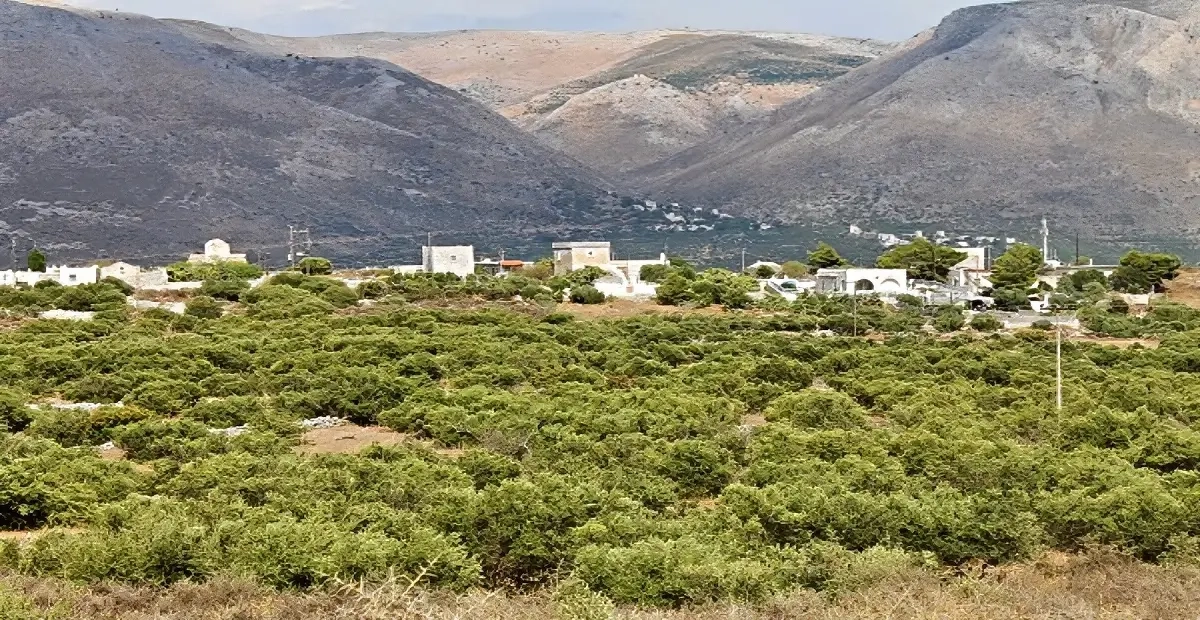 Κέρια Μάνη