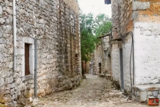 kounos