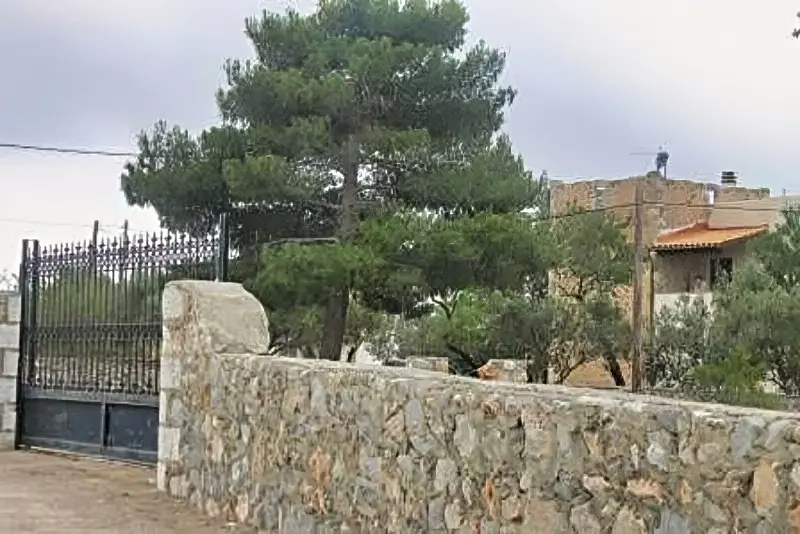 neassa (1)
