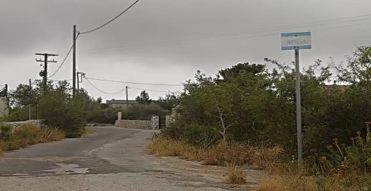 neassa
