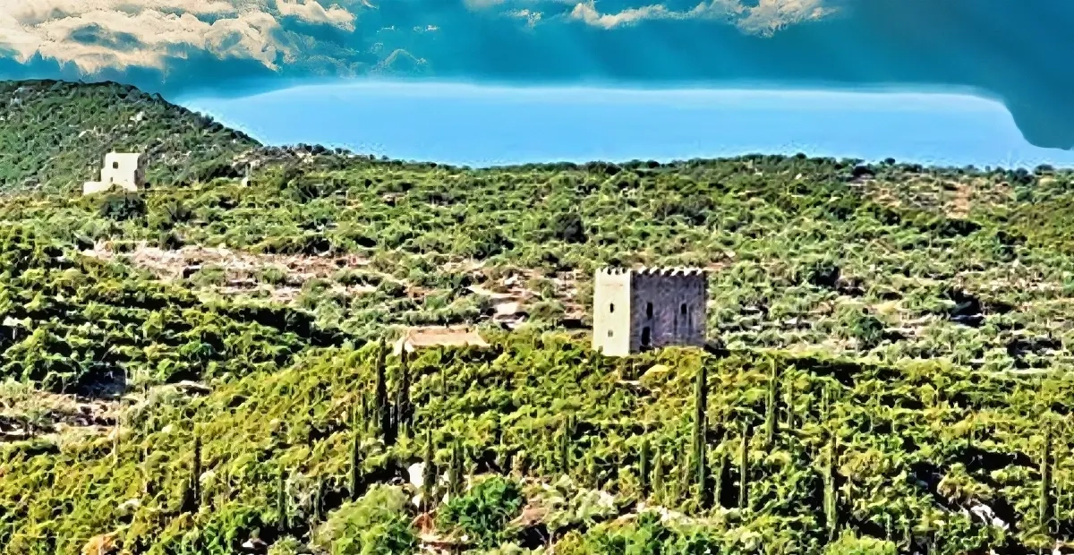 pirgos mavrikou
