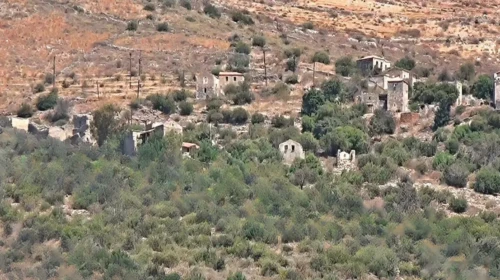 riganoxora