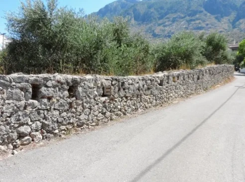 toixos tis vergas (1)