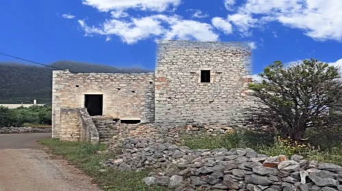 triantafilia (1)