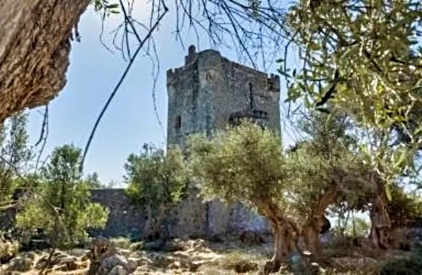 ageranos (2)