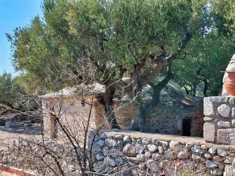 agia paraskevi 2