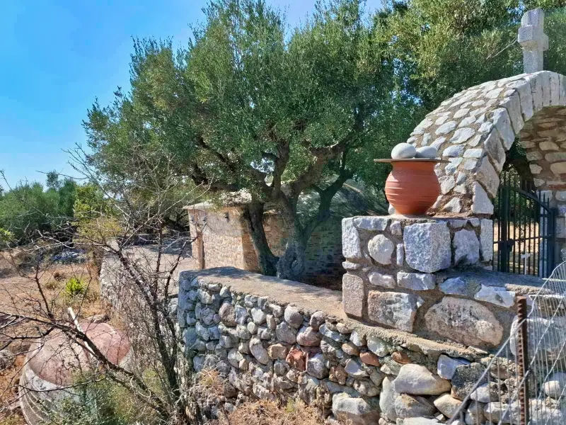 agia paraskevi 3