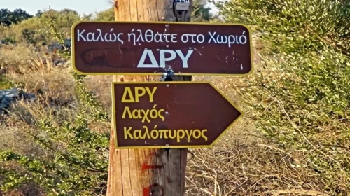 Δρυ Μάνη