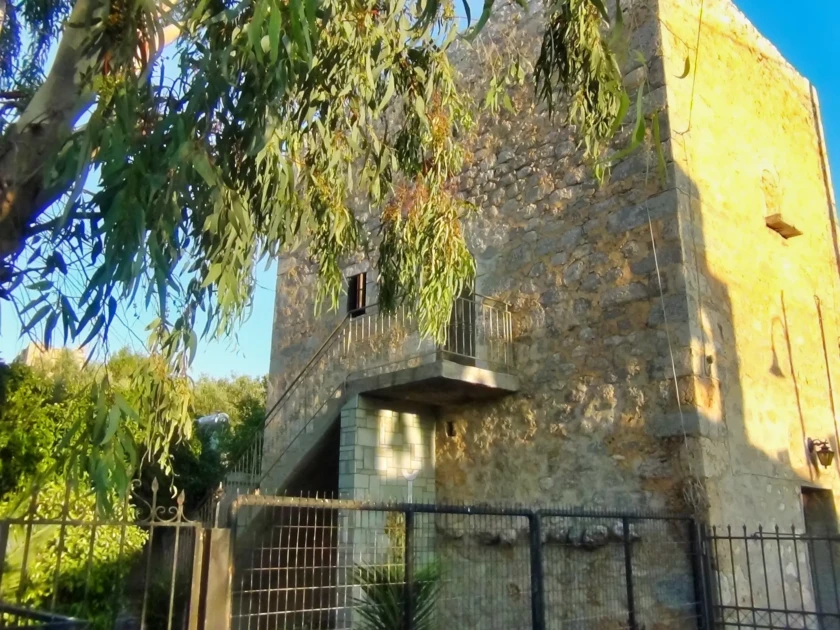 DSC00697