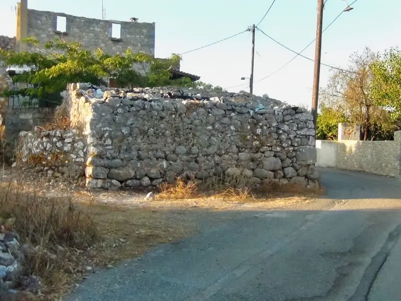 DSC00706
