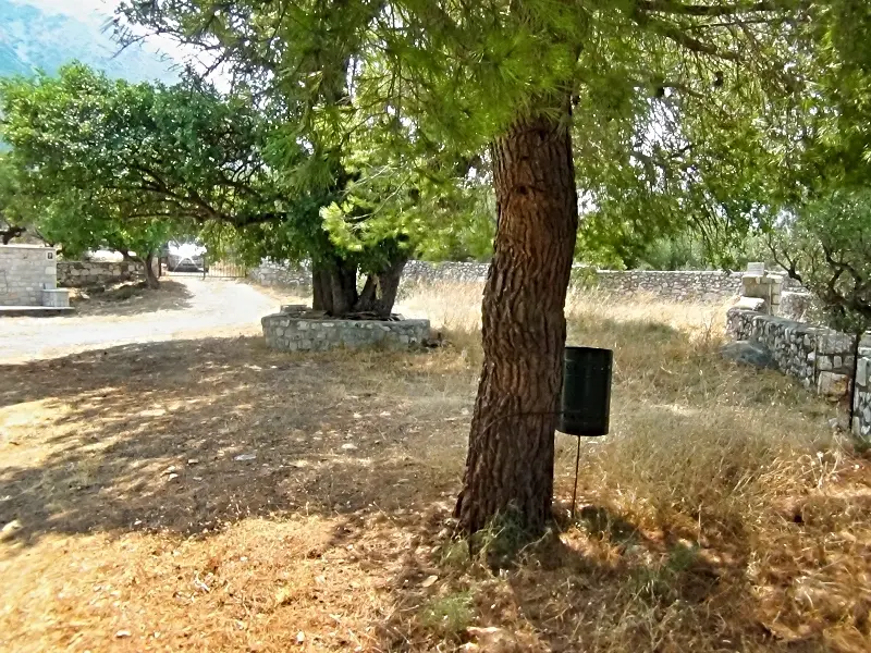 DSC00955