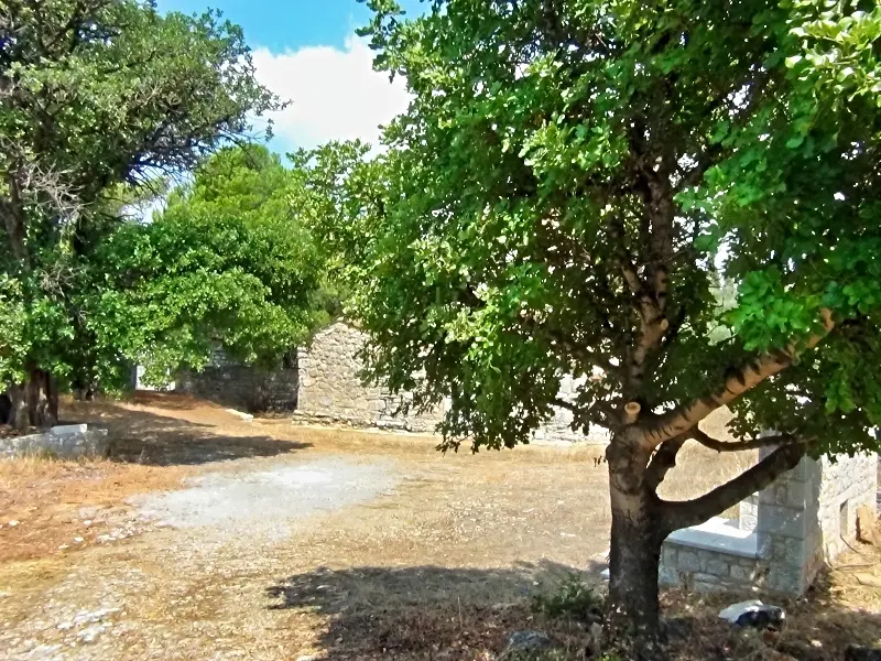 DSC00957
