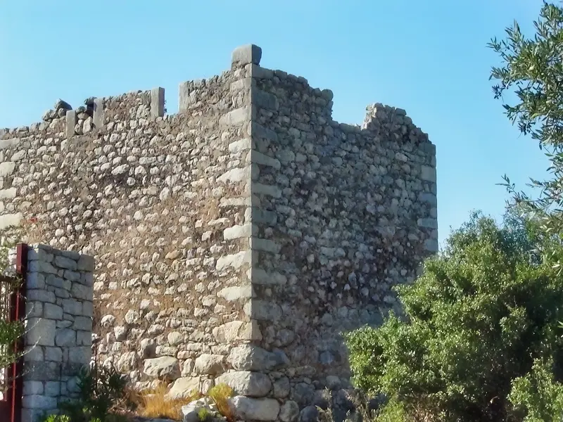 DSC01076