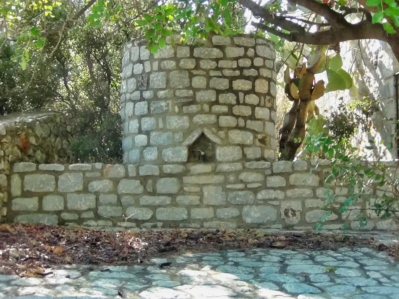 DSC01091