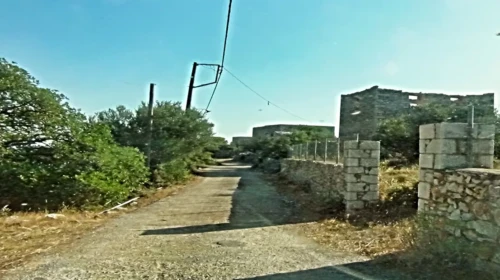 DSC01096