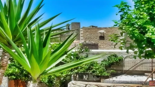 vathia (1)