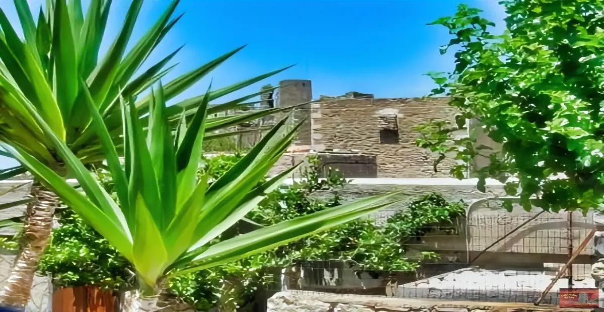 vathia (1)