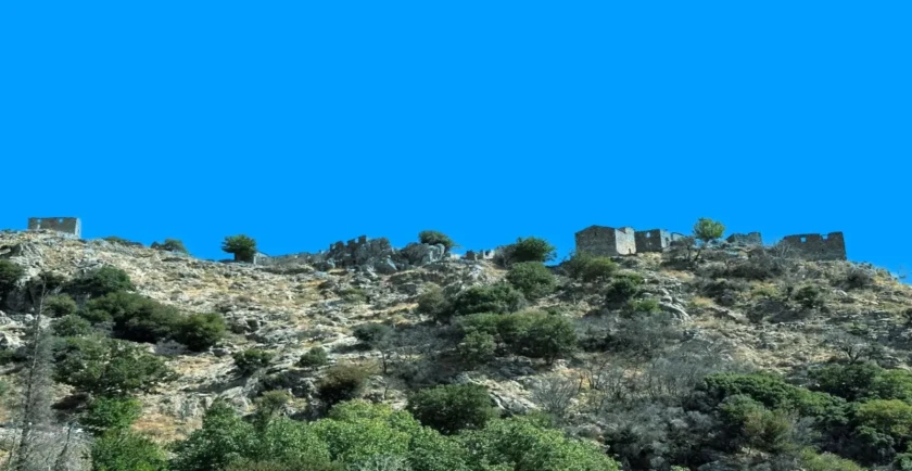 poliaravos (1)