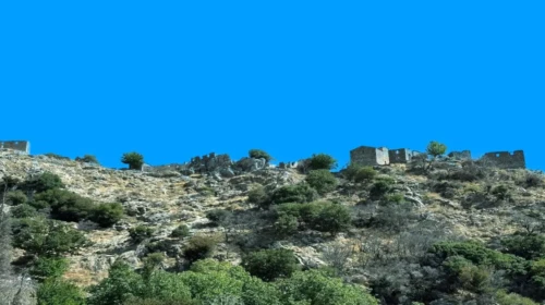 poliaravos (1)
