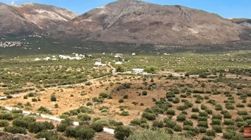aposkieri mani
