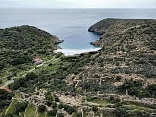 kainipoli