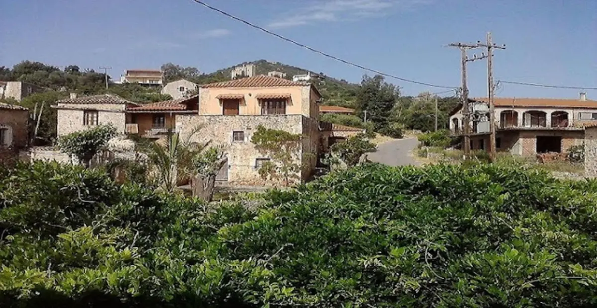 1294305_10201538493482095_1196659706_o (1)