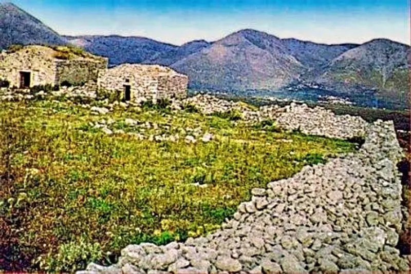 anopoula28