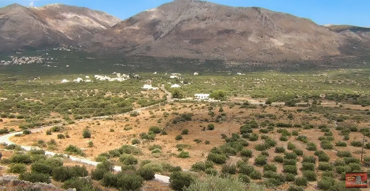 Μάνη Ο λαδόκαμπος στην αποσκιερή Μάνη