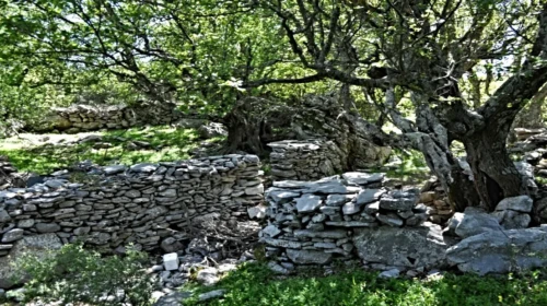 Ξερολιθιά στην Μάνη