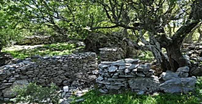 Οι ξερολιθιές της Μάνης: Πώς χτίζεις τοίχο χωρίς λάσπη που αντέχει 100 χρόνια.