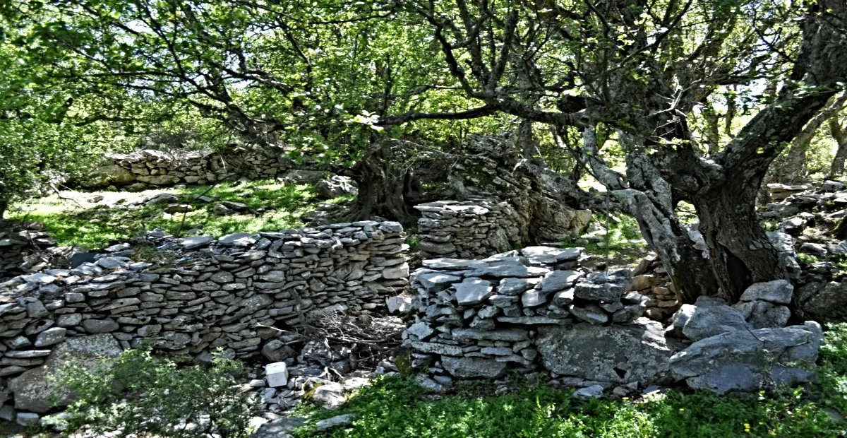 Ξερολιθιά στην Μάνη