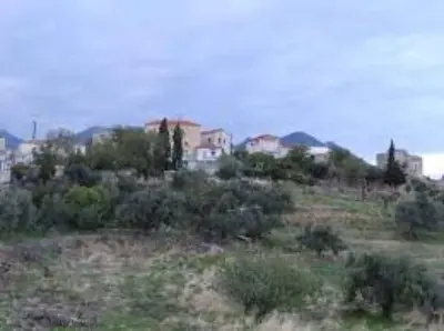 mirsini manis