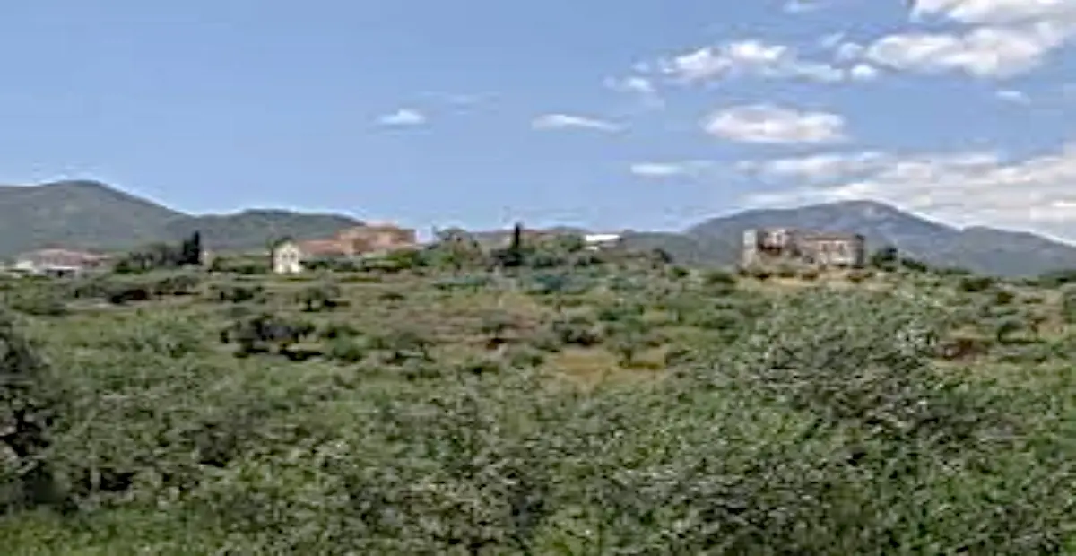 Μυρσίνη Μάνης