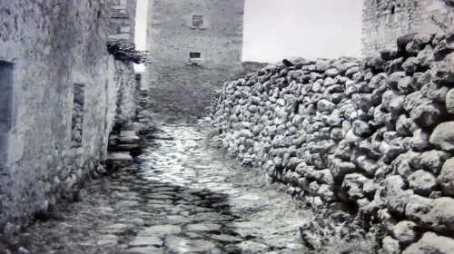 paggia (1)