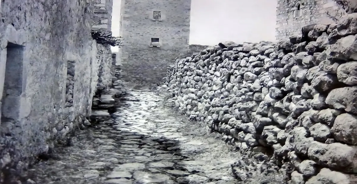 paggia (1)