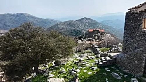 Βελανιδιά Πολυαράβου