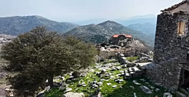 Πολύαραβος Μάνης: Η βελανιδιά που “είδε” τη συντριβή του Ιμπραήμ το 1826 μπήκε στα μνημεία του 1821.