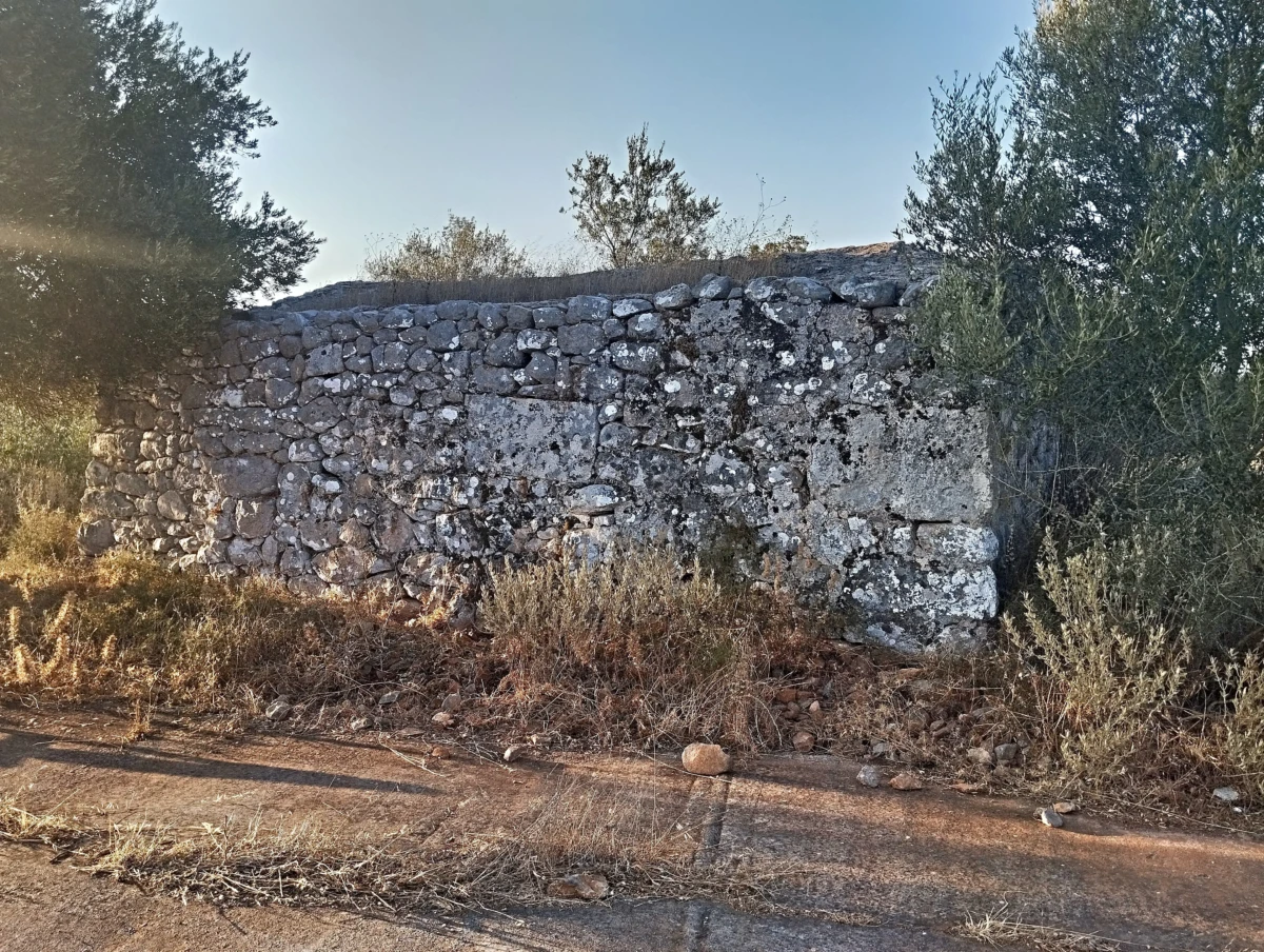 asomatos paggia
