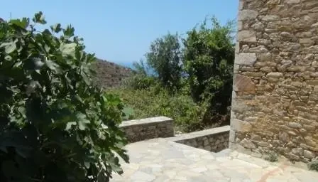 DSC00084
