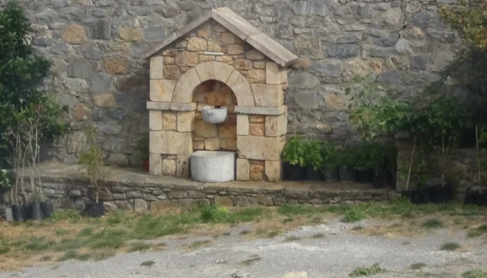 DSC00212