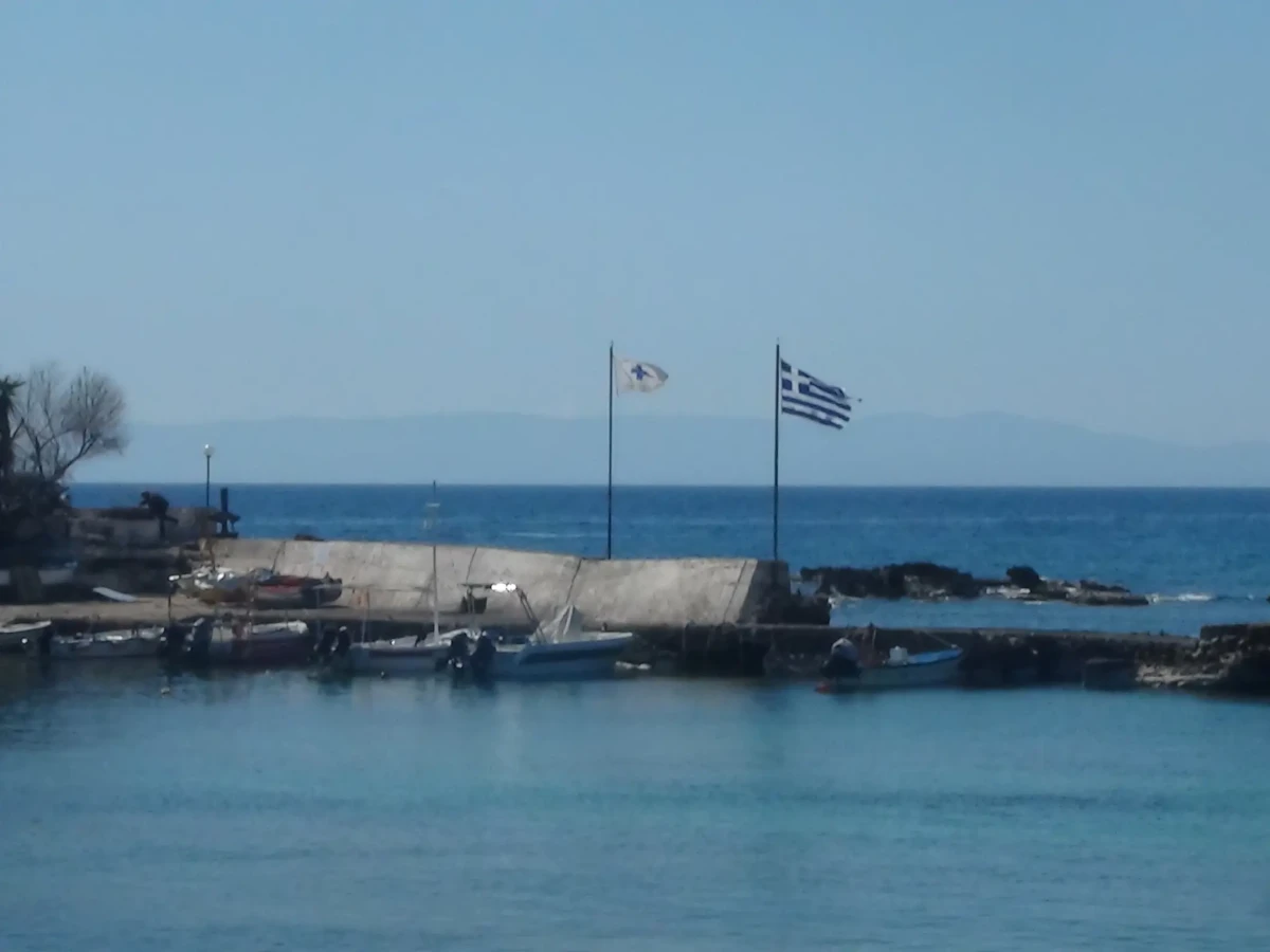 DSC00604
