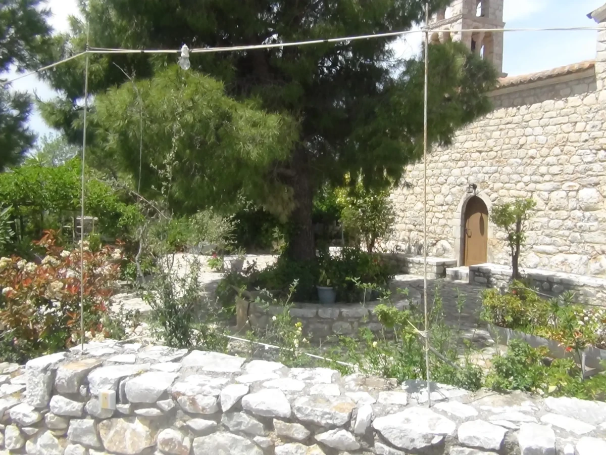 DSC00617