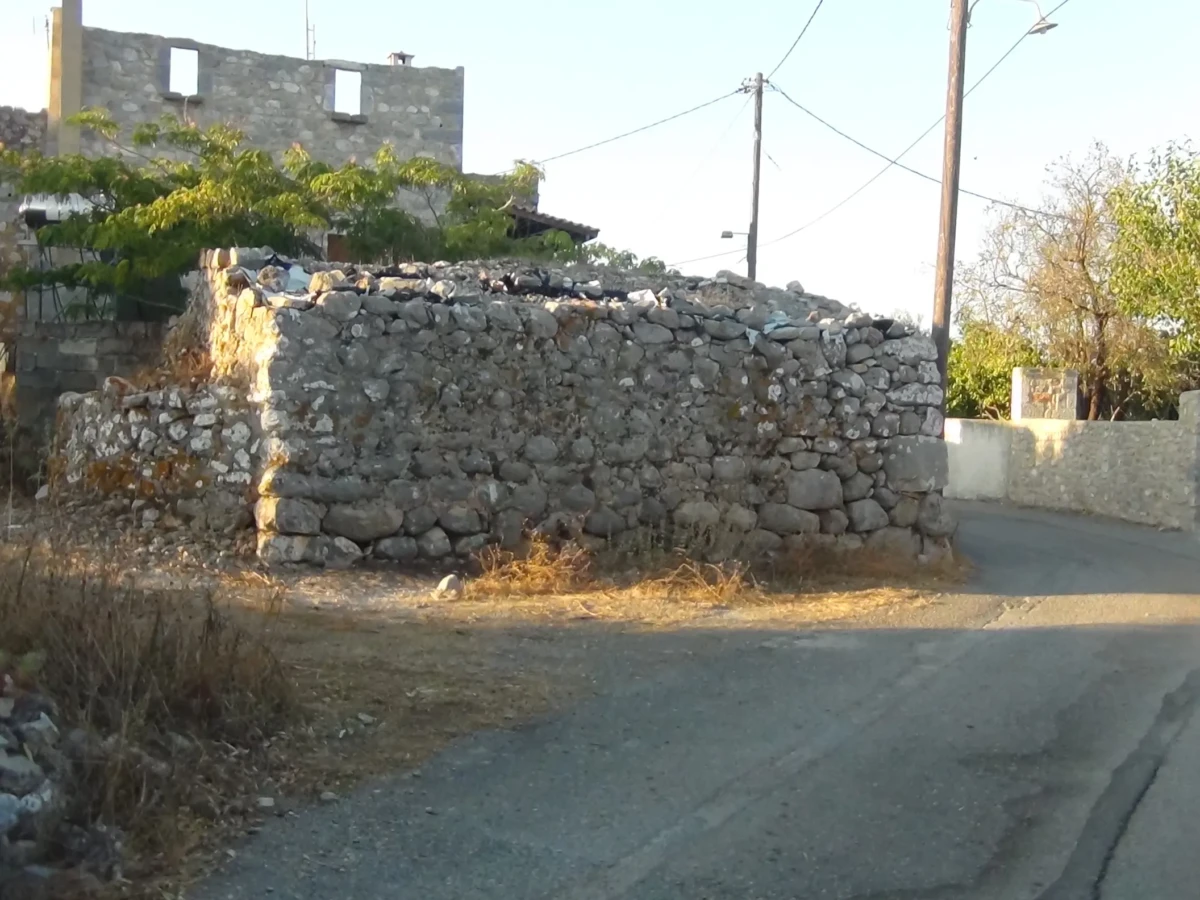 DSC00706