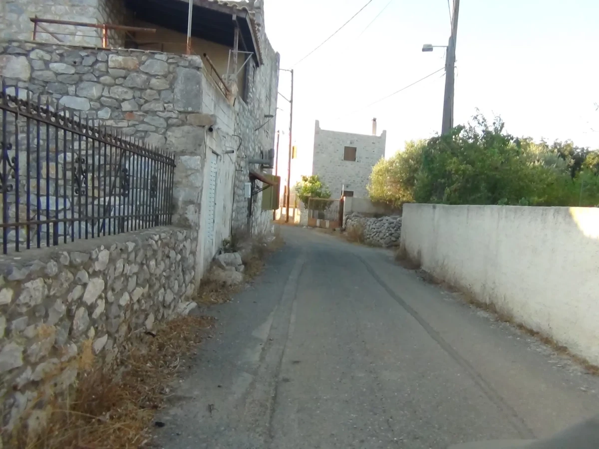 DSC00707