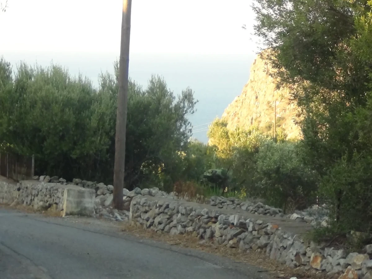 DSC00709