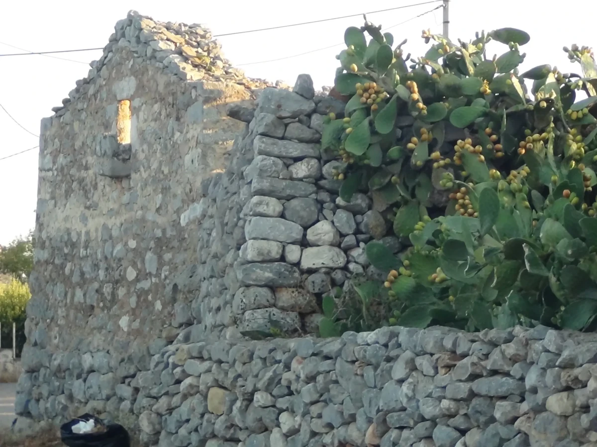 DSC00711