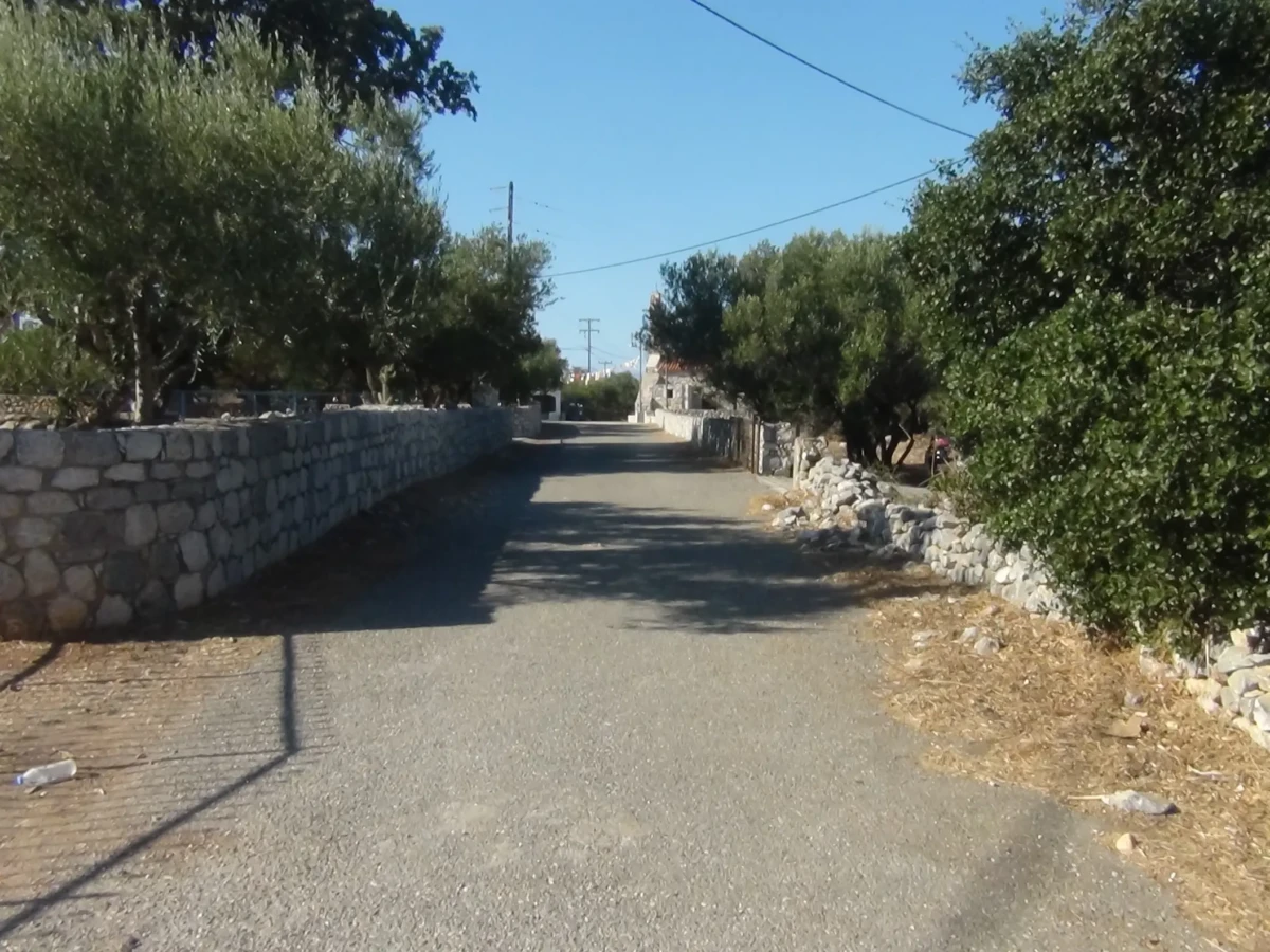 DSC00802