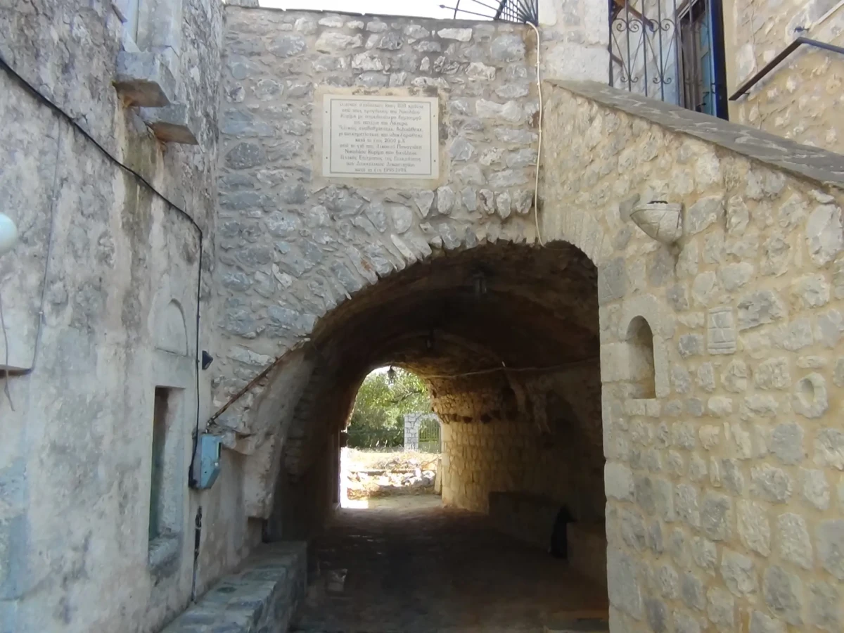 DSC00803