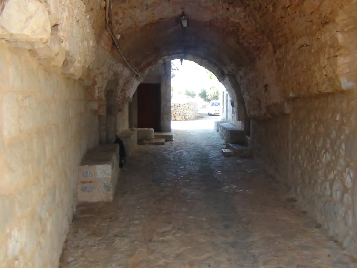 DSC00807
