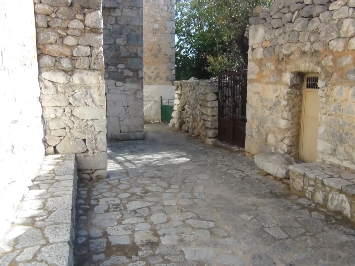 DSC00809